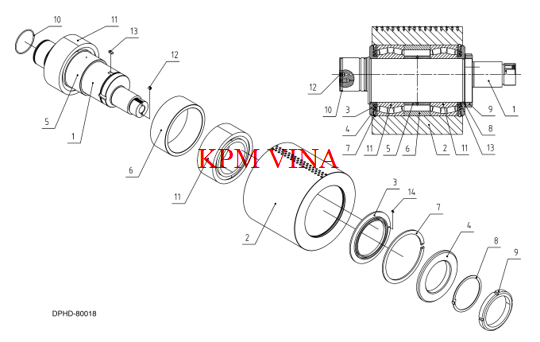 DPHD-80018-810