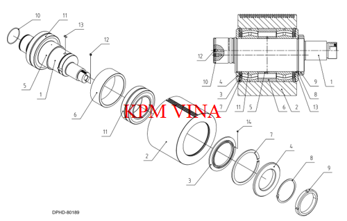 DPHD-11344-001